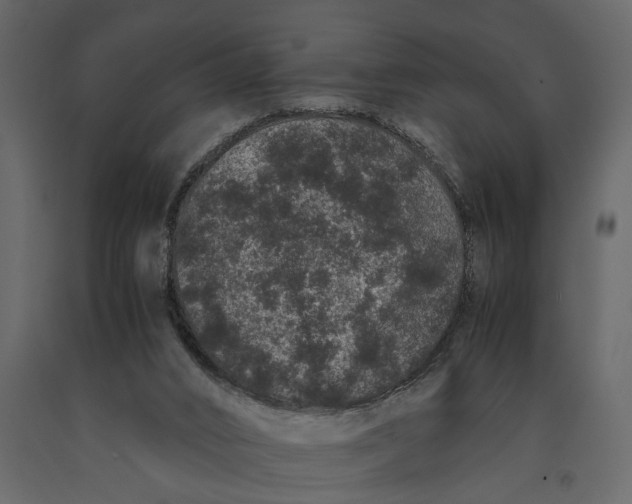 X0000091100016200708271325