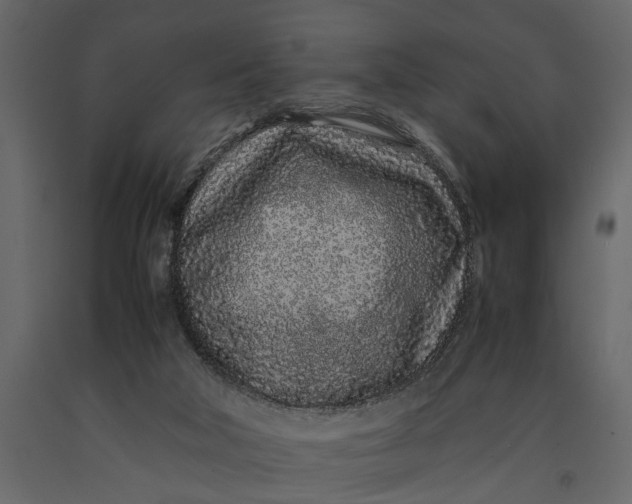 X0000091100018200708271325