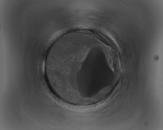 X0000091100019200708271325