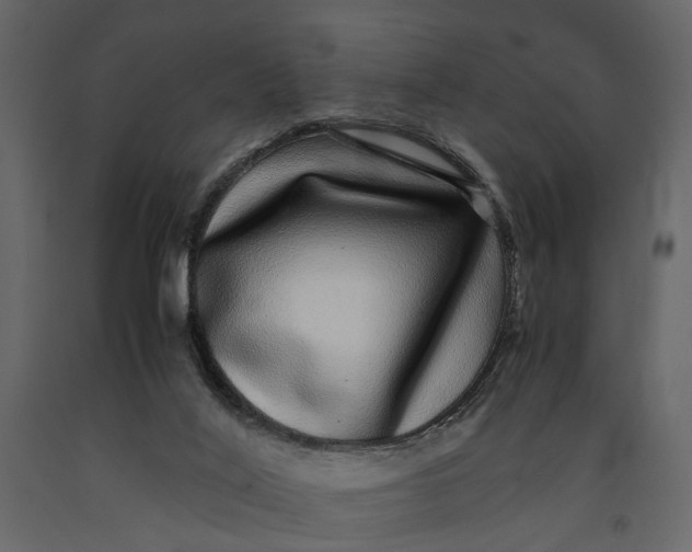 X0000091100020200708271325