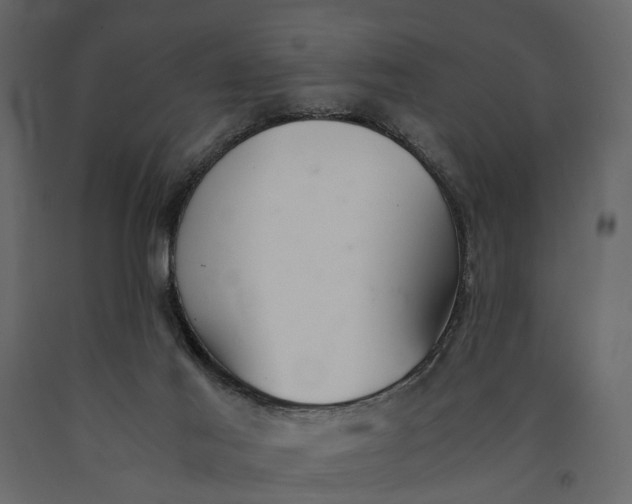 X0000091100021200708271325