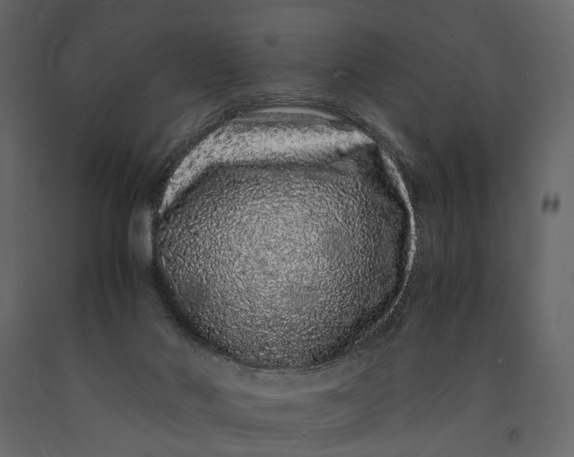 X0000091100022200708271325