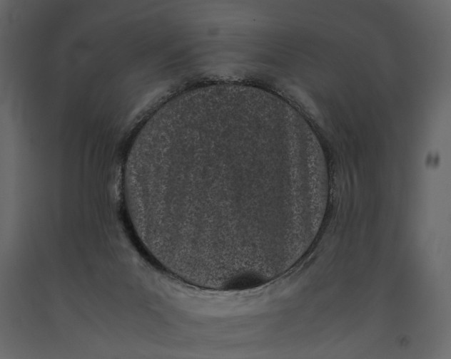 X0000091100023200708271325