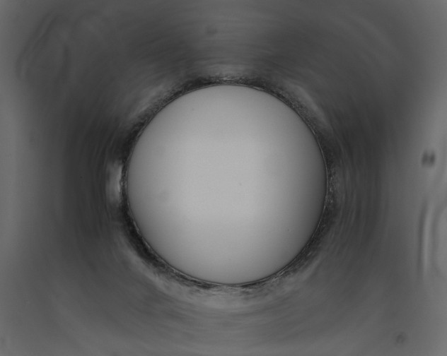 X0000091100024200708271325