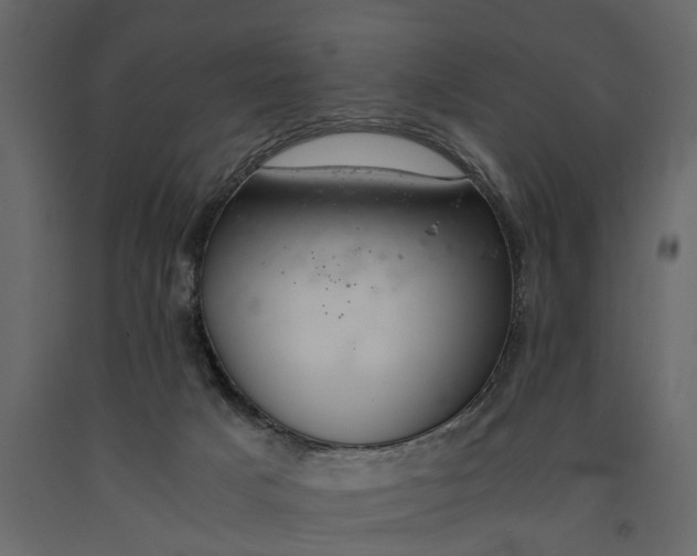 X0000091100025200708271325