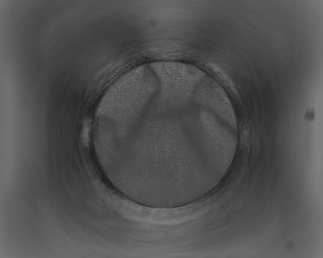 X0000091100026200708271325