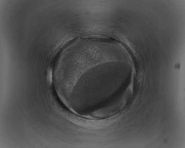 X0000091100027200708271325