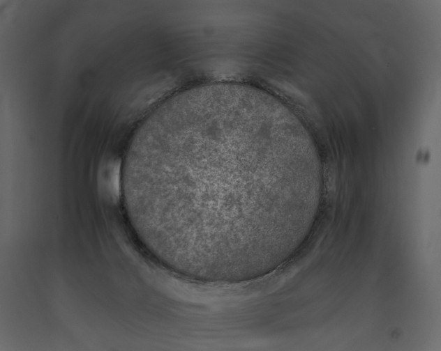 X0000091100028200708271325