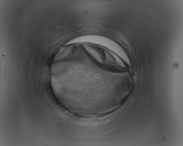 X0000091100029200708271325