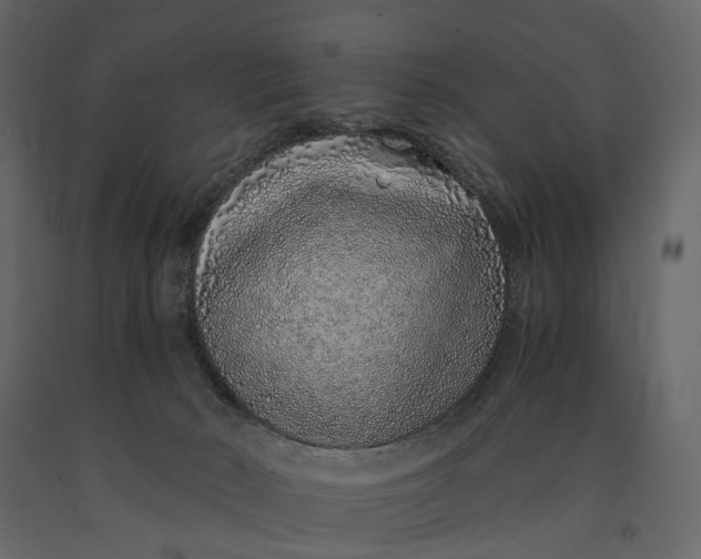 X0000091100030200708271325