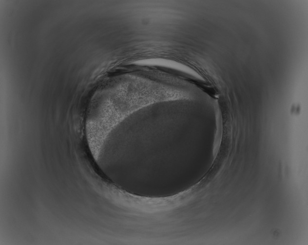 X0000091100031200708271325