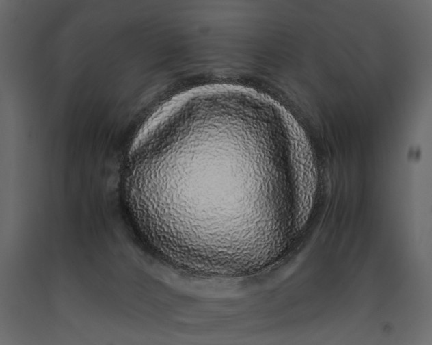 X0000091100032200708271325