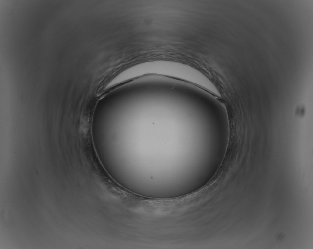 X0000091100033200708271325