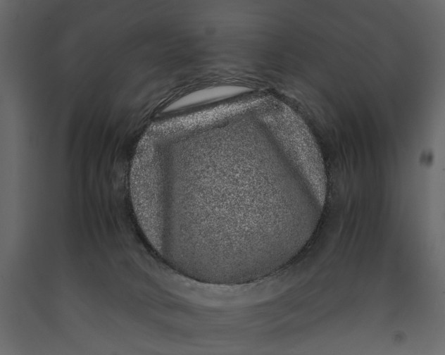 X0000091100034200708271325