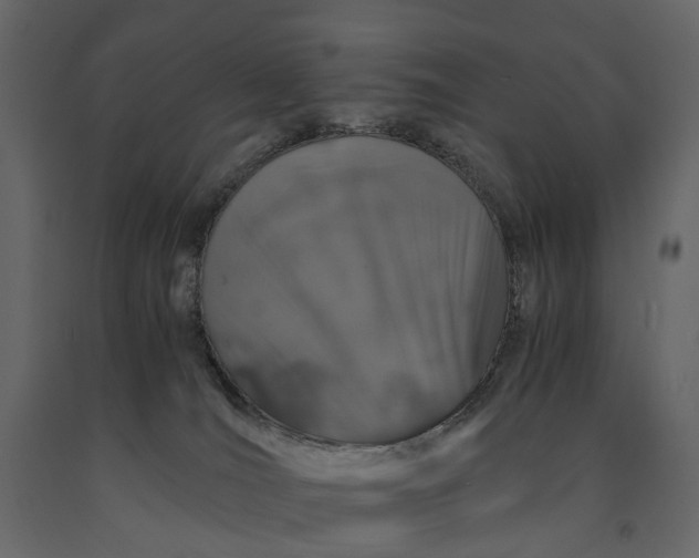 X0000091100036200708271325