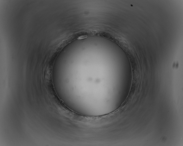 X0000091100037200708271325