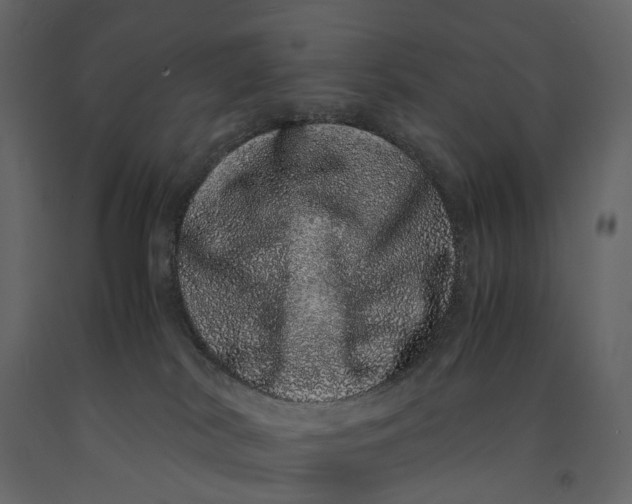 X0000091100038200708271325