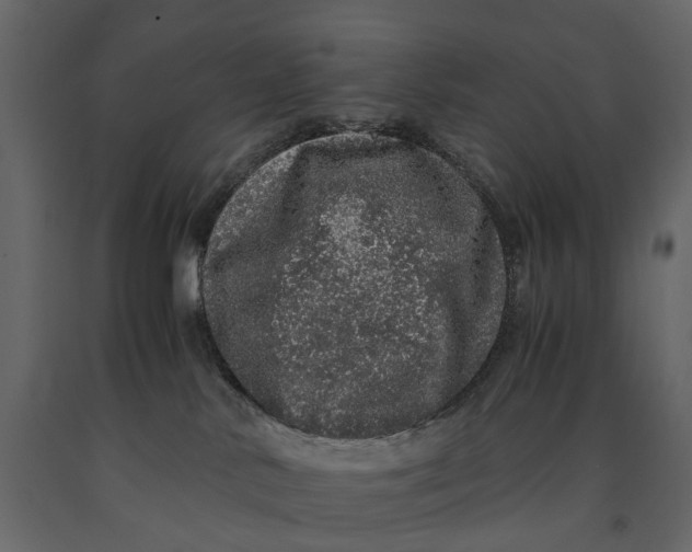 X0000091100042200708271325