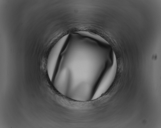 X0000091100044200708271325