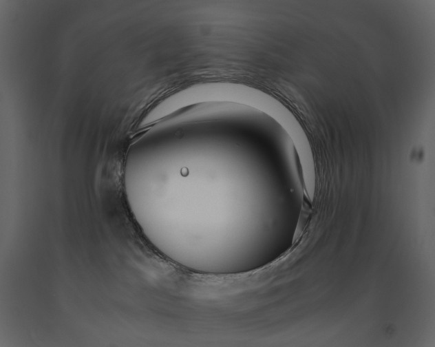 X0000091100045200708271325