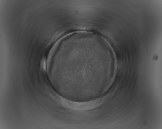 X0000091100046200708271325