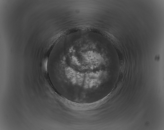 X0000091100047200708271325