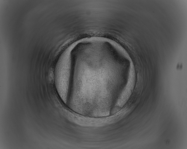 X0000091100048200708271325