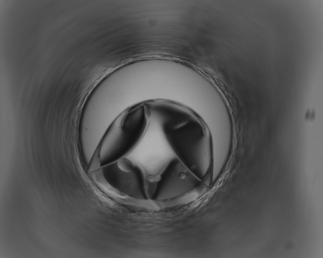 X0000091100049200708271324