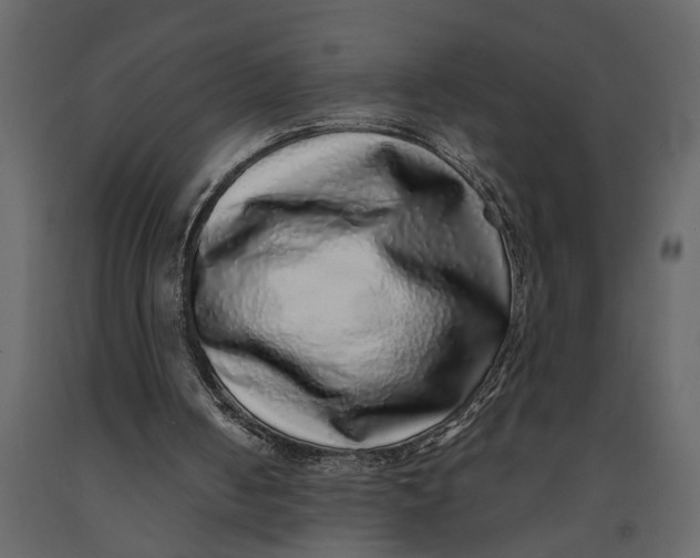 X0000091100050200708271324