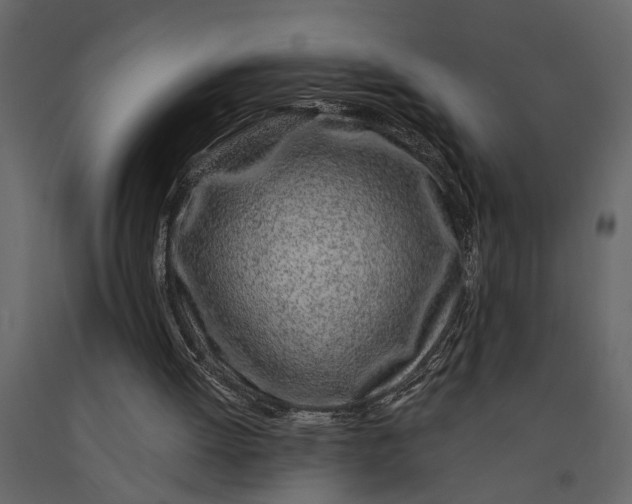 X0000091100052200708271324