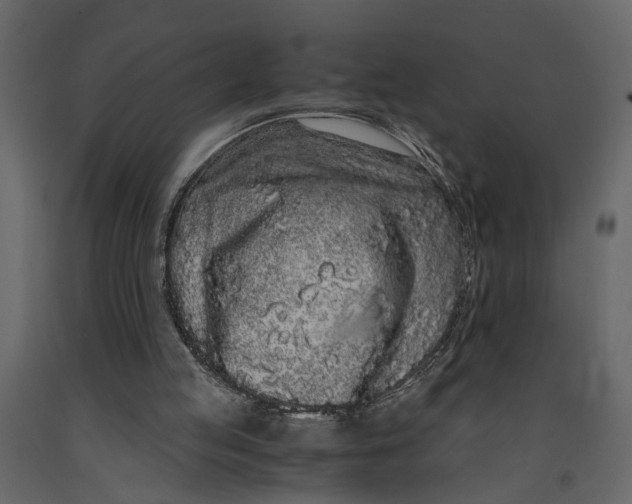 X0000091100053200708271324