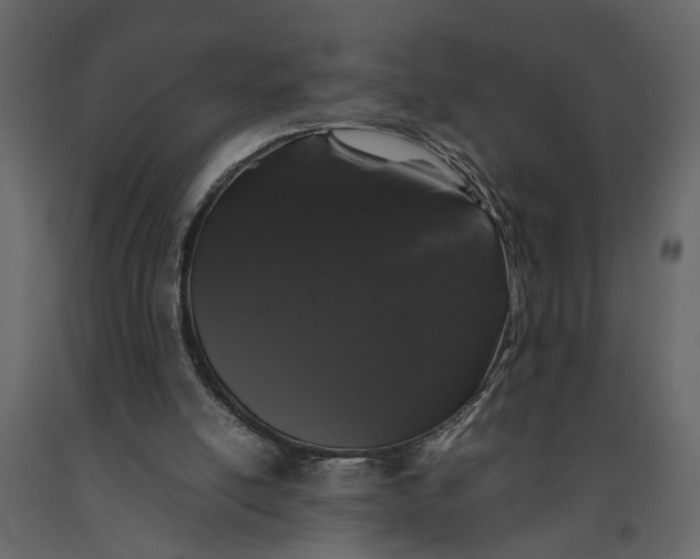 X0000091100054200708271324