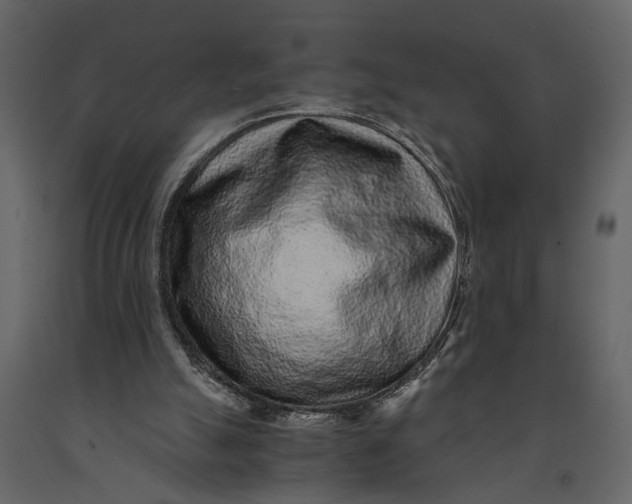 X0000091100055200708271324