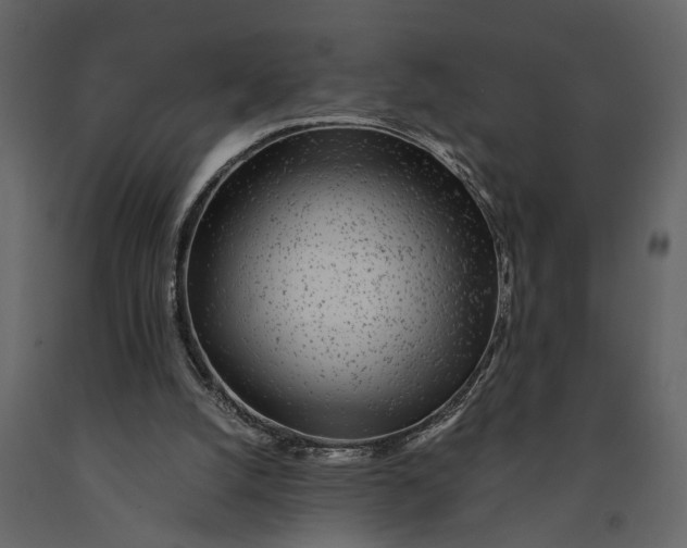 X0000091100056200708271324