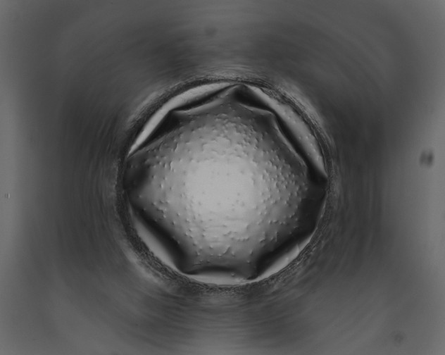 X0000091100058200708271324