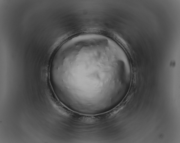 X0000091100059200708271324