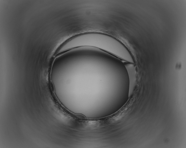 X0000091100060200708271324