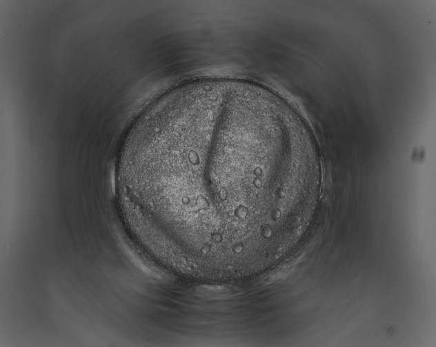 X0000091100061200708271324