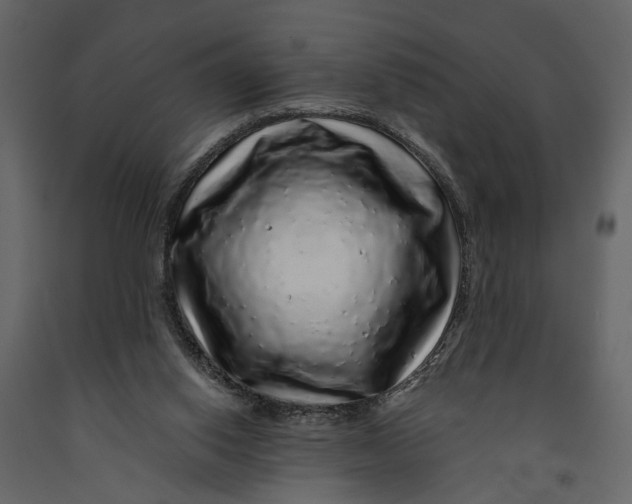 X0000091100062200708271324