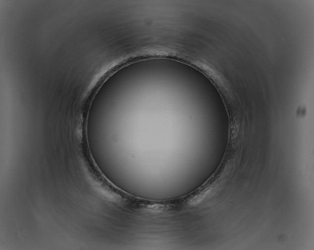 X0000091100064200708271324