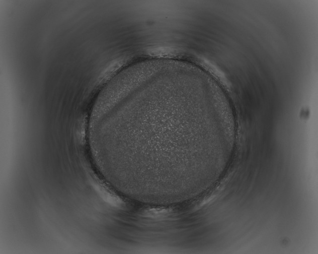 X0000091100065200708271324