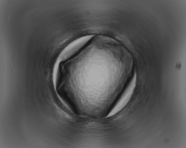 X0000091100066200708271324