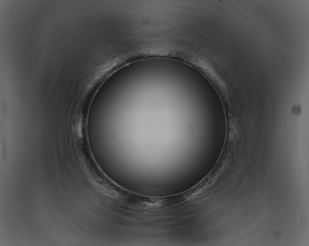 X0000091100068200708271324