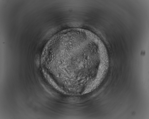 X0000091100069200708271324