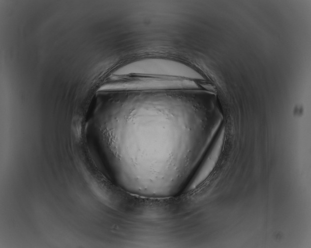 X0000091100070200708271324