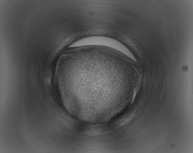 X0000091100072200708271324