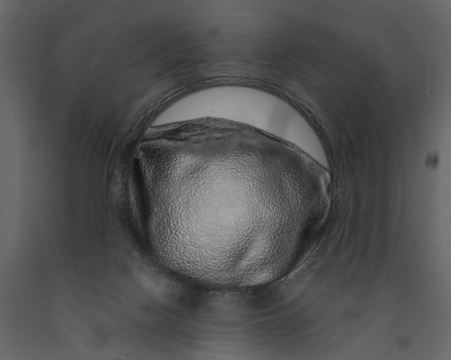 X0000091100074200708271324