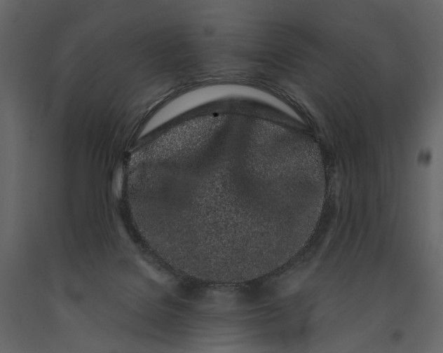 X0000091100076200708271324