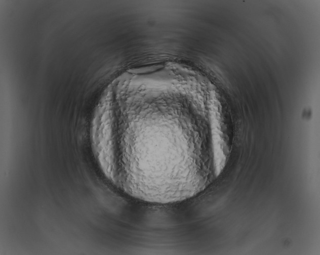 X0000091100077200708271324