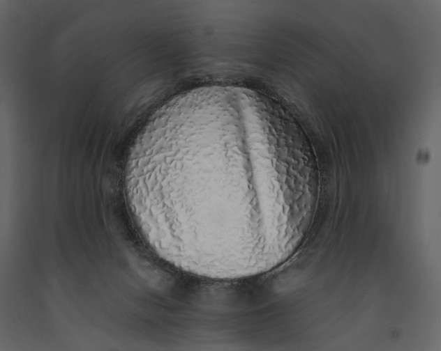 X0000091100078200708271324